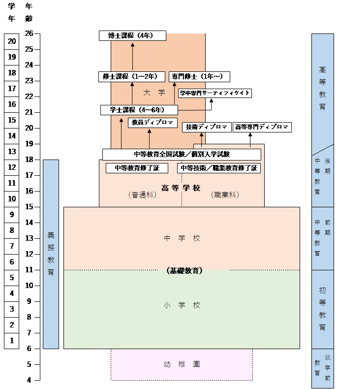 ブラジル教育制度図