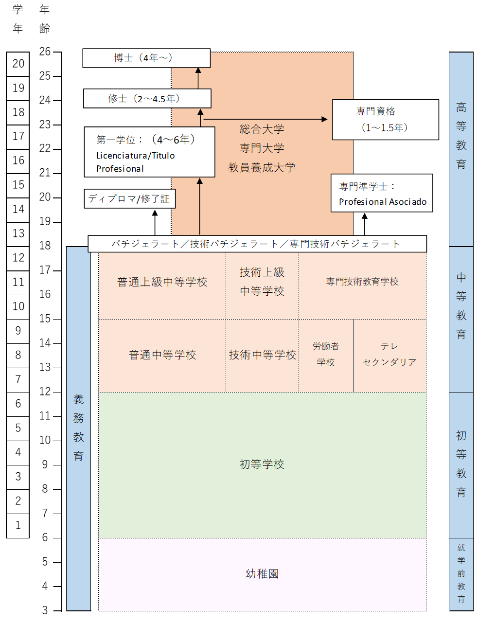 メキシコ　教育制度図